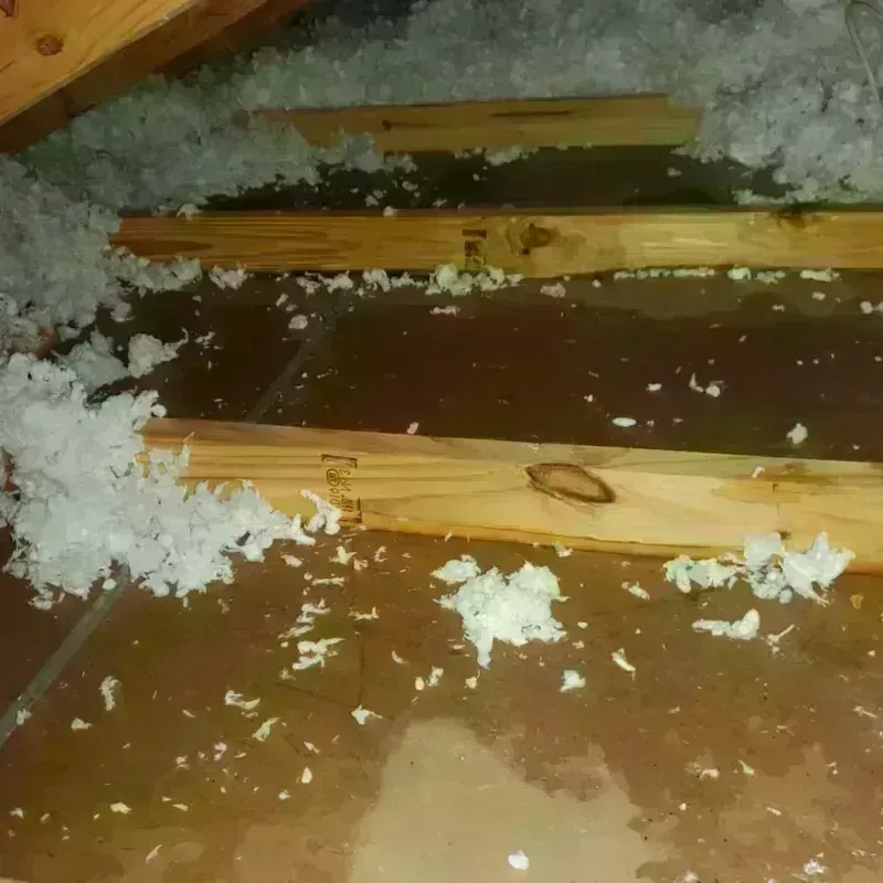 Attic Water Damage in Robert Lee, TX