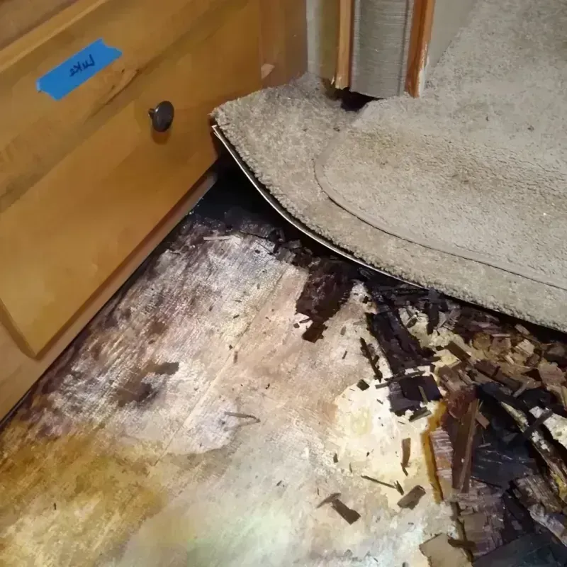 Wood Floor Water Damage in Robert Lee, TX